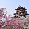伏見桃山城の春