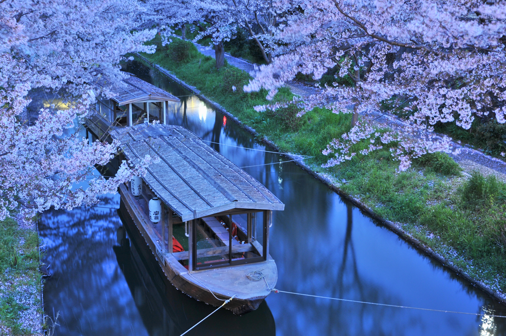 京都 十石舟