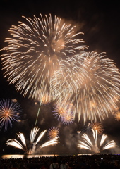 今年の夏は花火三昧