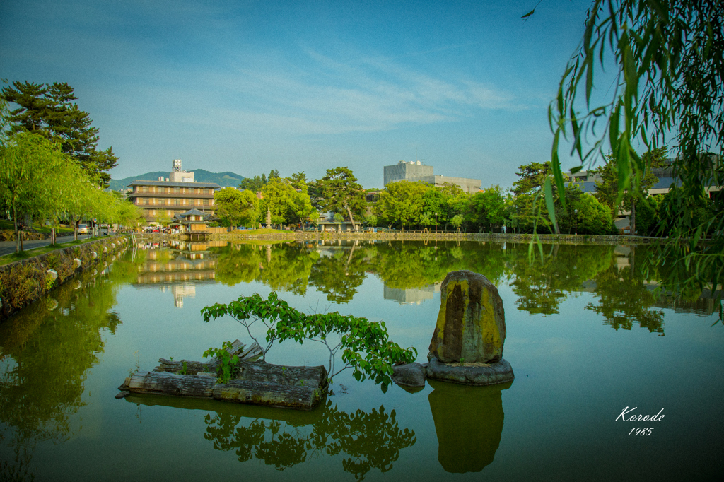 猿沢池