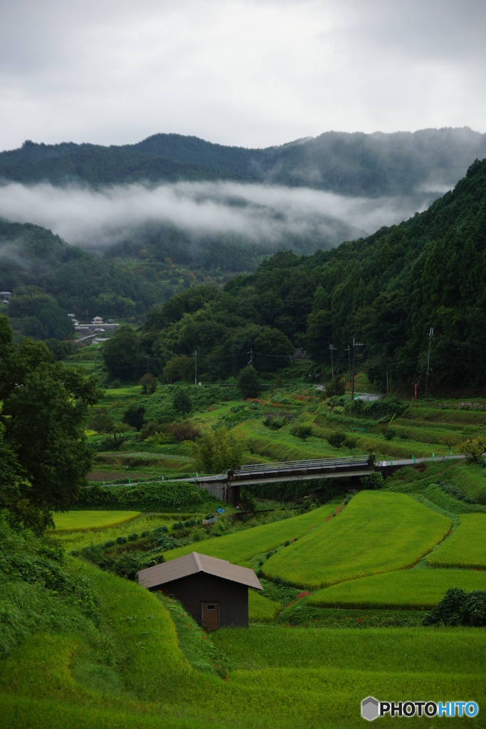 棚田