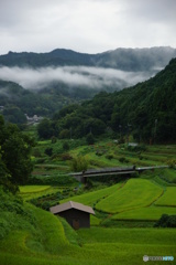 棚田