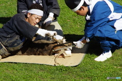 鹿の角きり