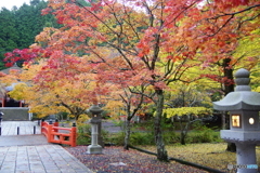 秋　紅葉