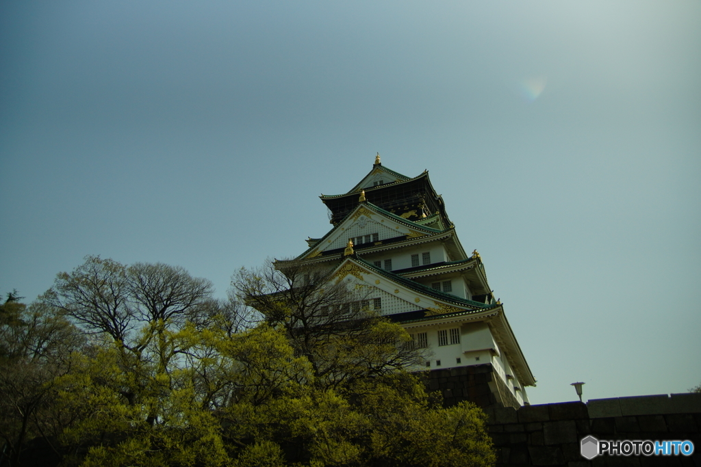 大阪城　春