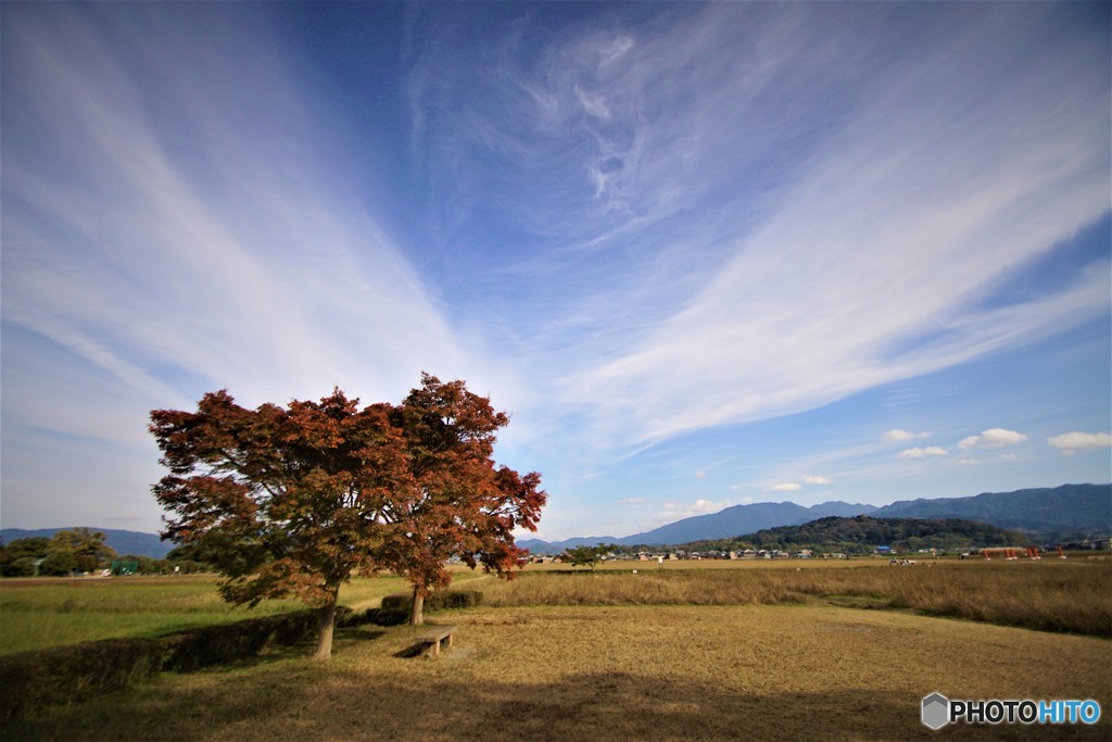 秋空