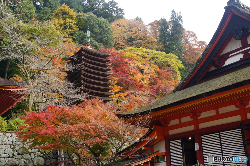 談山神社4