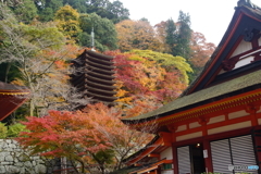 談山神社4