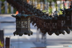 壷阪寺