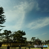 奈良公園