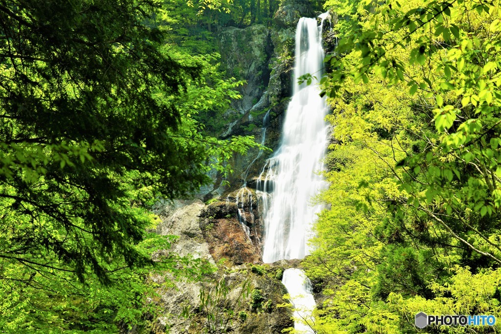 川上村　びわの滝2