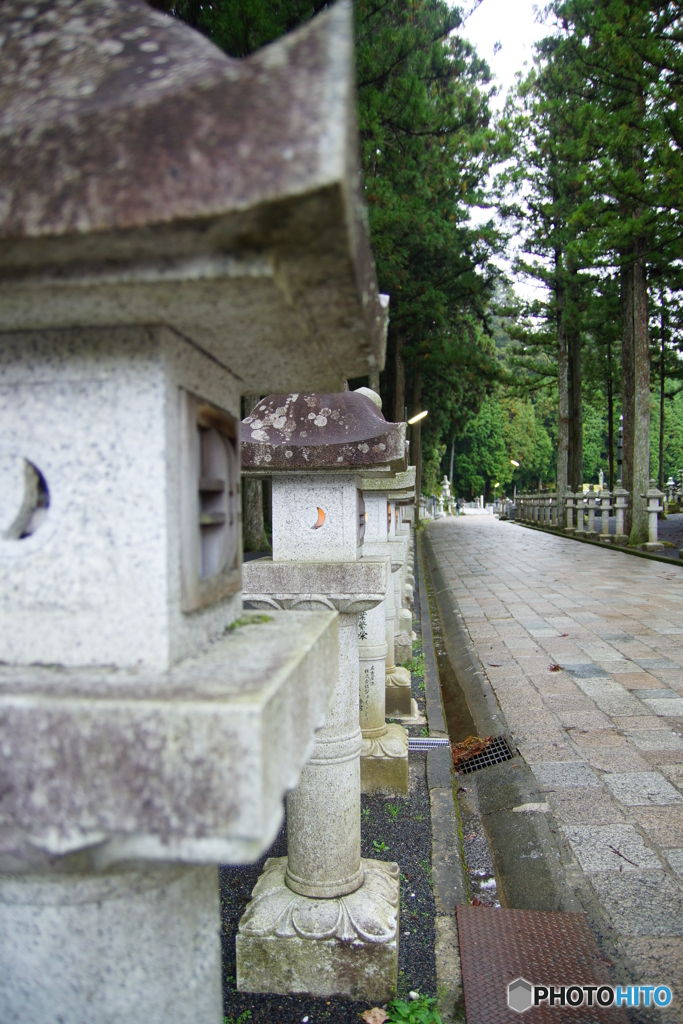 朝一の高野山
