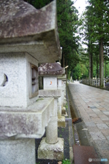 朝一の高野山