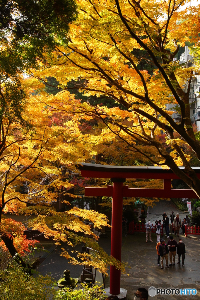 談山神社2
