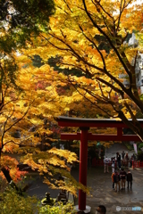 談山神社2