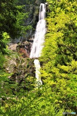 川上村　びわの滝