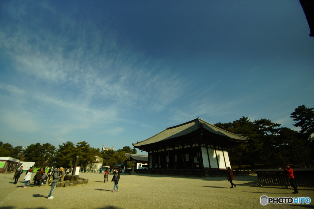 奈良公園2