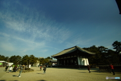 奈良公園2