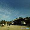 奈良公園2