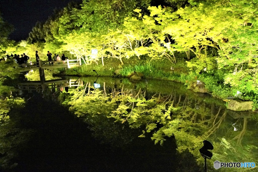 鏡池2