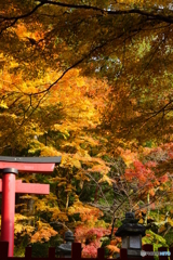 談山神社1