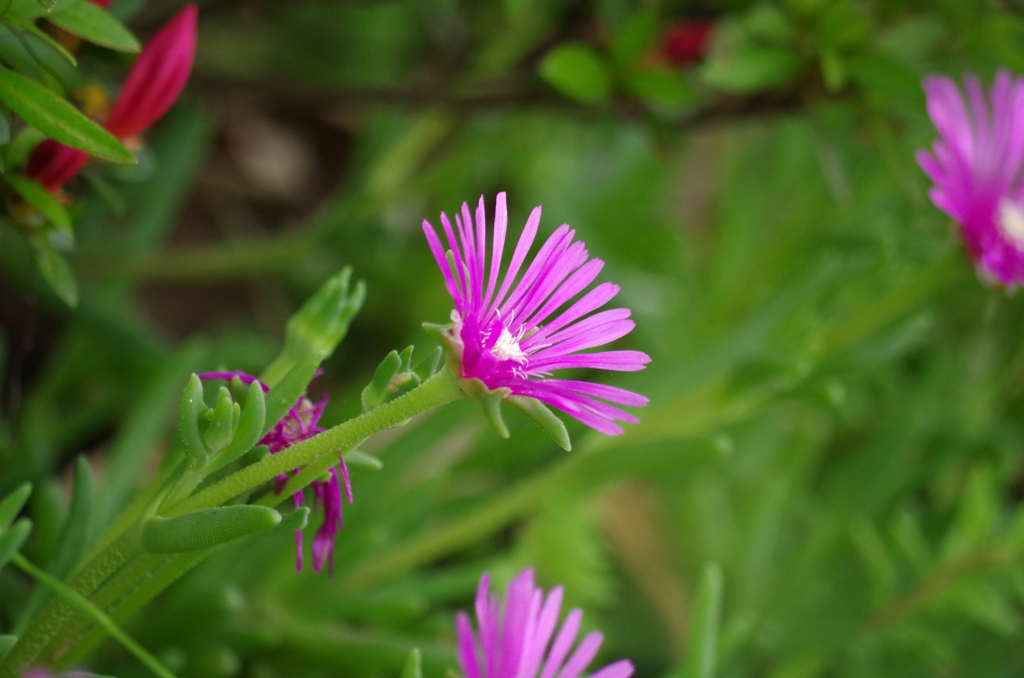 IMGP0195