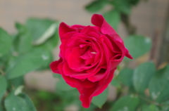 IMGP0220