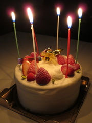 Christmas cake-2