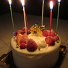 Christmas cake-2