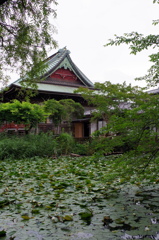 ハスと霊堂