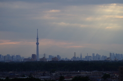 スカイツリーと共に