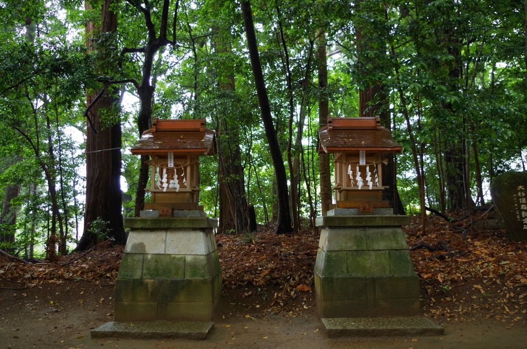 大杉にいた兄弟