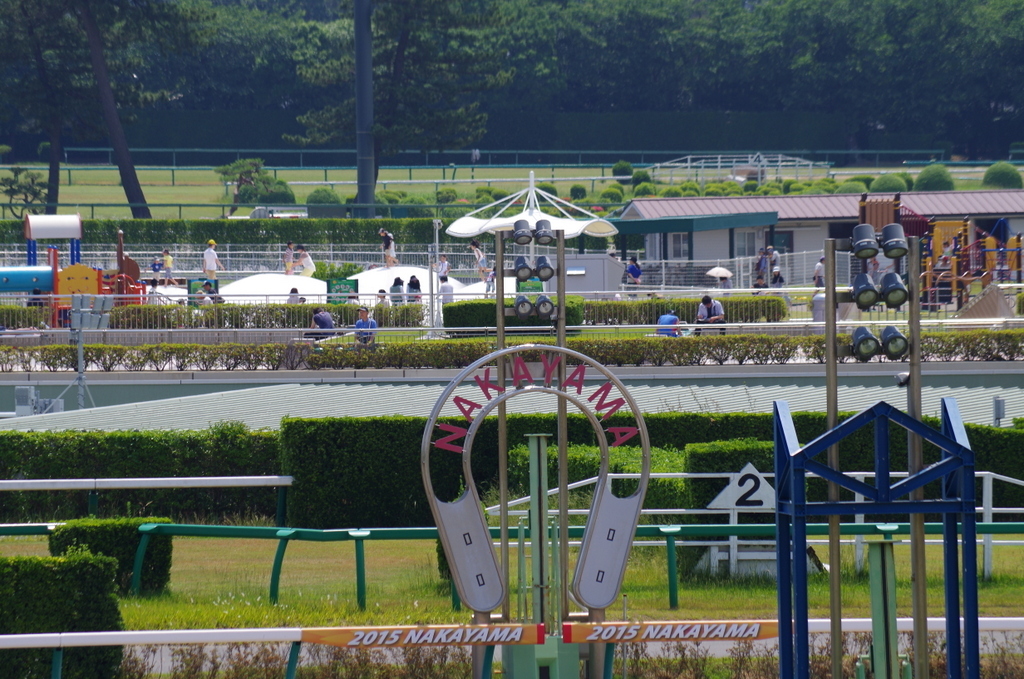 ダービーの日に中山で-part2