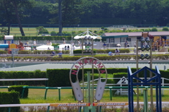 ダービーの日に中山で-part2