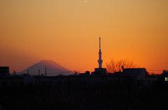 夕景－スカイツリーと富士山