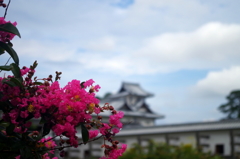 花と石川門