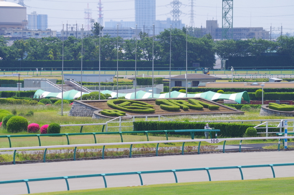 ダービーの日に中山で