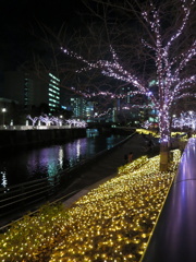illumination-meguro-river-1
