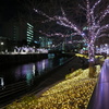 illumination-meguro-river-1