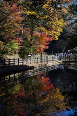紅葉-7