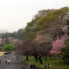 皇居内-4
