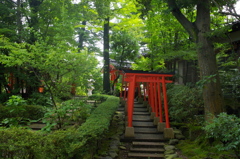 金沢神社・奉納鳥居