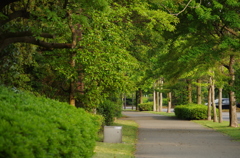 IMGP0204