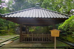 金城霊澤