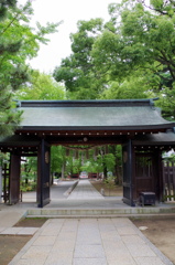 緑と門