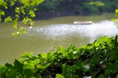 水面キラキラ