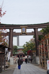 富岡八幡宮-2