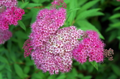 IMGP0224
