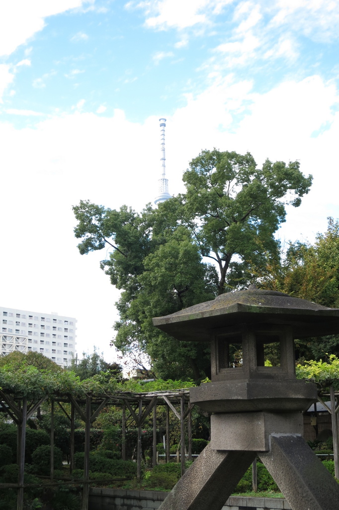 亀戸天神-3