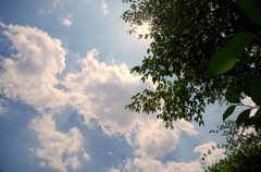 夏の予感